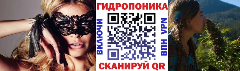 Купить Грайворон Каннабис семена